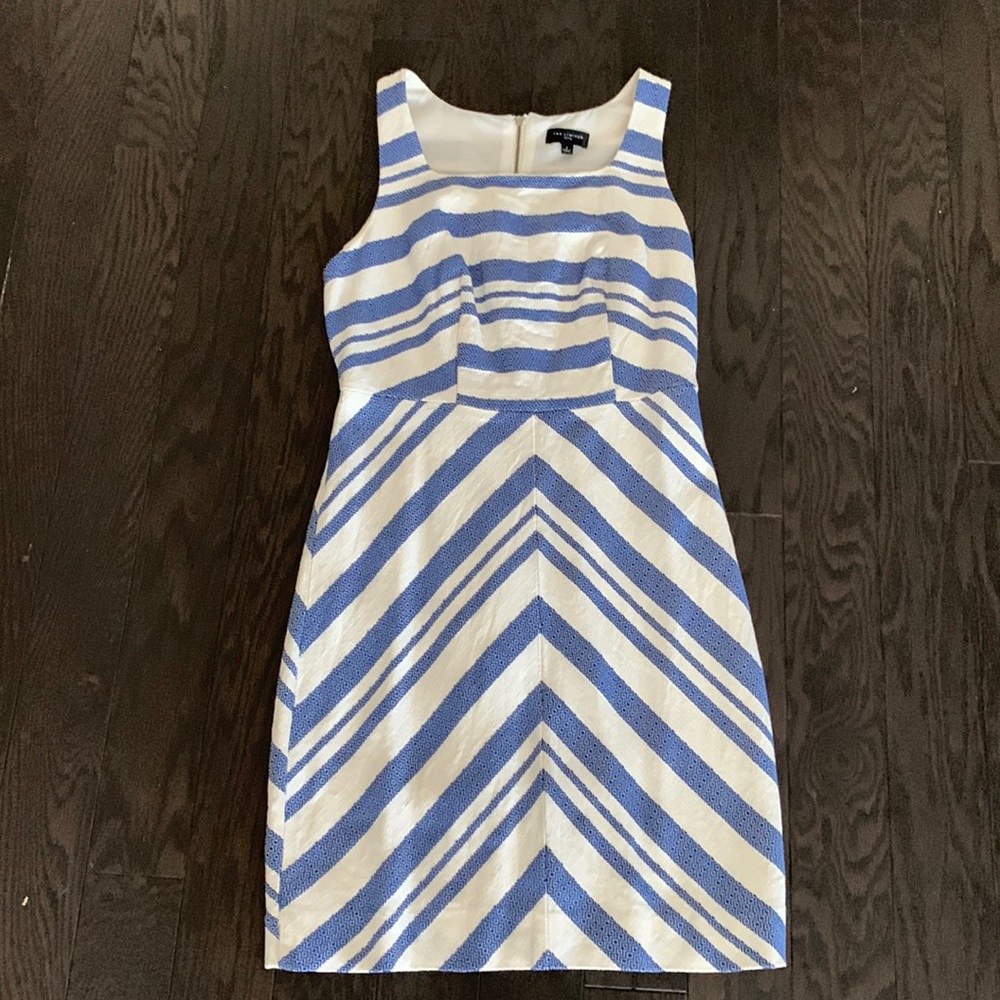 The Limited Petite Lined Strapless Dress
